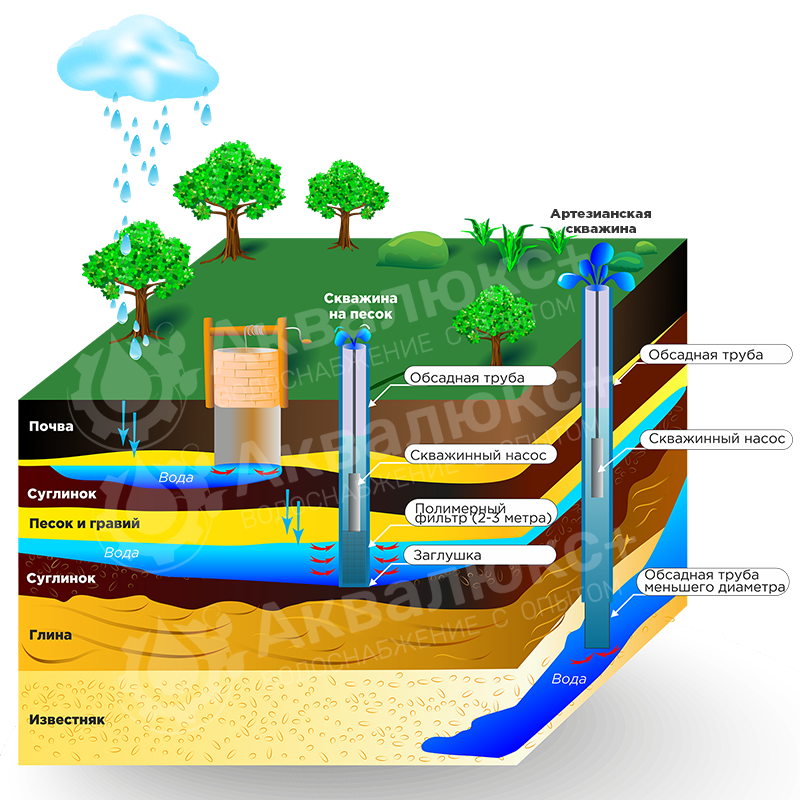 Как найти воду для скважины на участке самостоятельно по рельефу, растениям и состоянию грунта