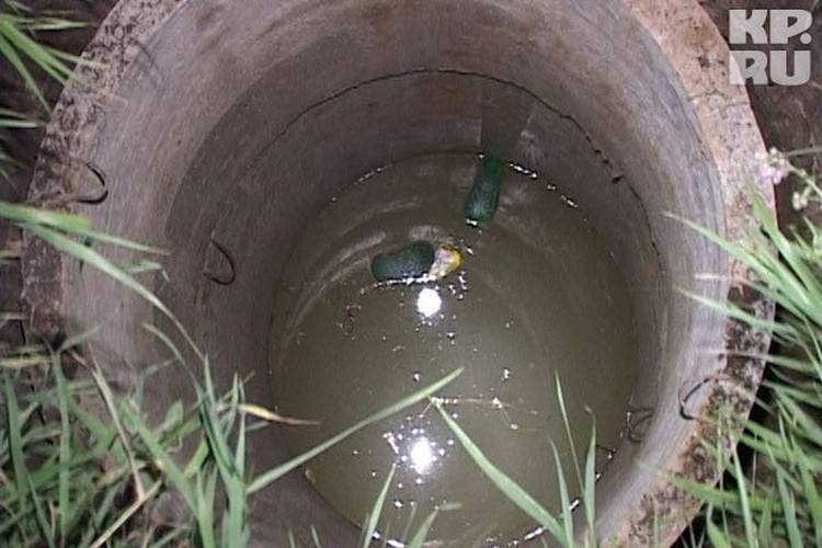 Что сделать с мутной водой после копки нового колодца