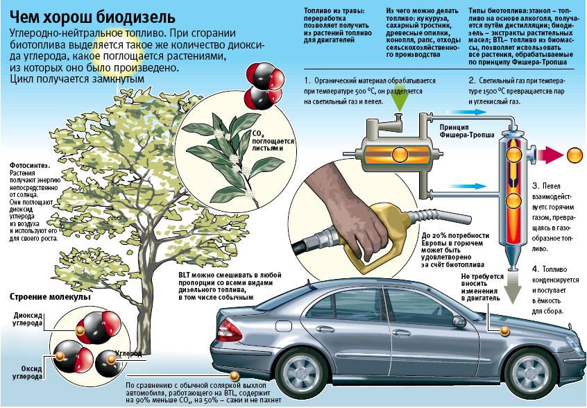 Как сделать биотопливо своими руками?