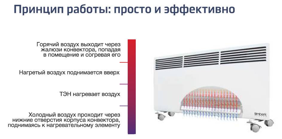 Конвектор или масляный обогреватель: что лучше выбрать, сравнительные характеристики радиаторов, разница
