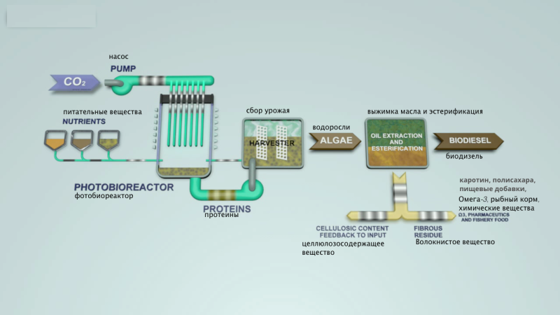 Производство биодизеля - biodiesel production - abcdef.wiki