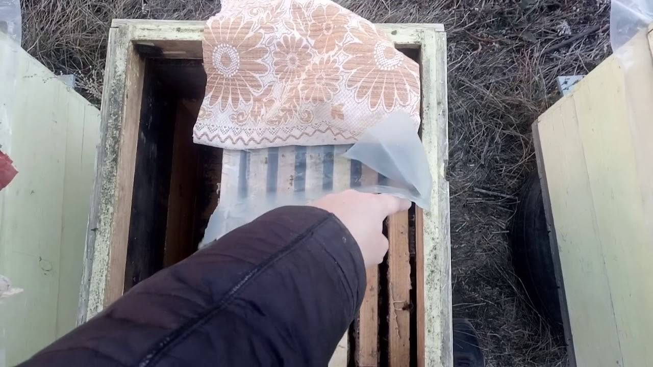 Подготовка пчел к зимовке