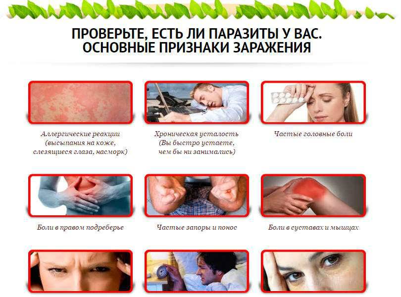 Заболевания желчных и печеночных протоков