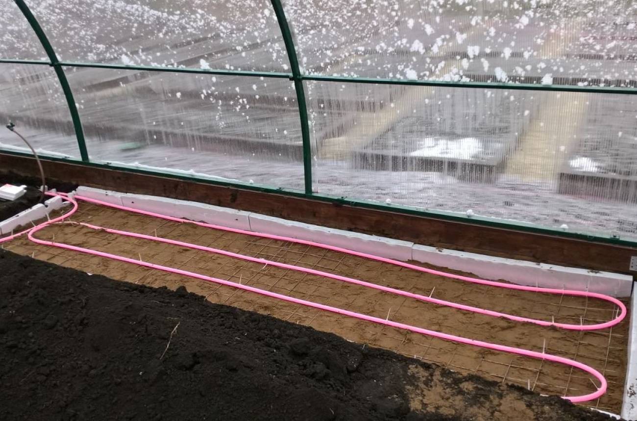 Круглогодичный урожай: строим зимнюю теплицу из поликарбоната с отоплением своими руками