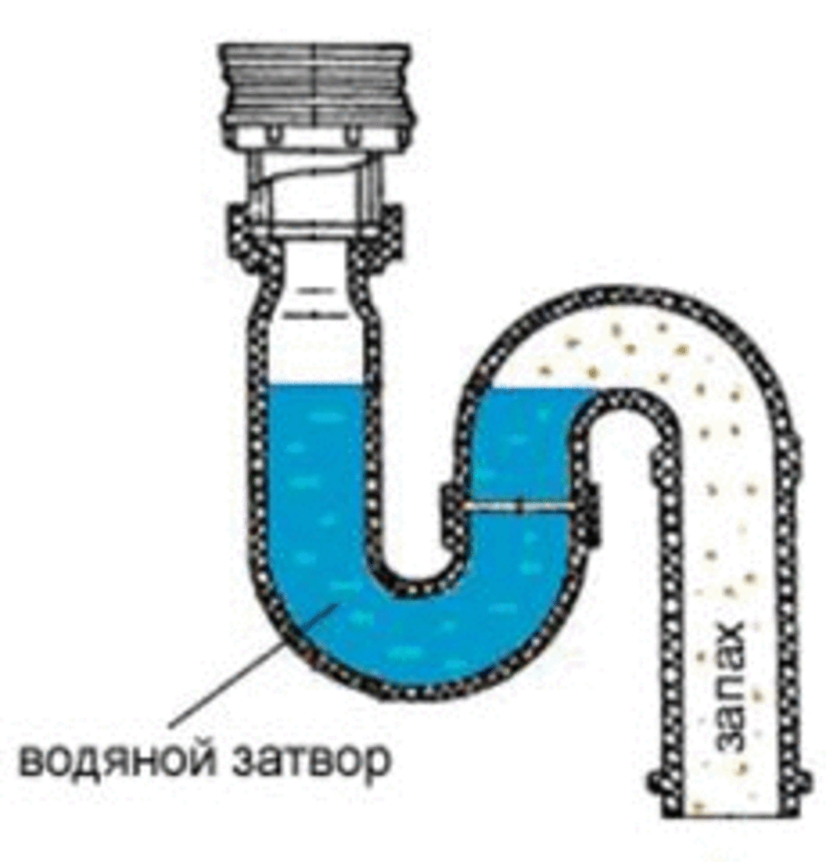 Гидрозатвор для канализации 50, 100, 110 виды, установка