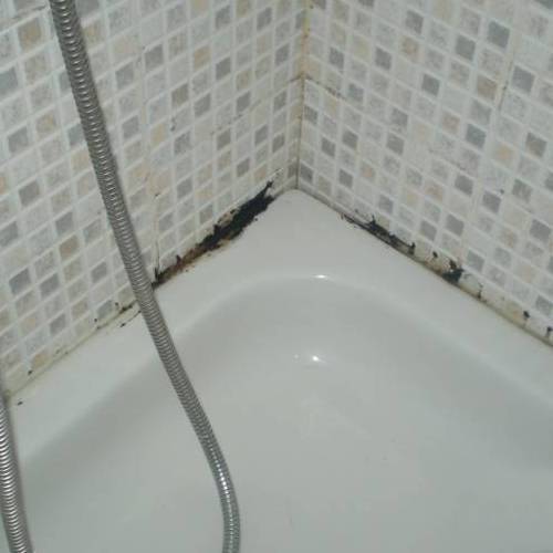 Плесень в ванной как убрать ???? грибок, черная в швах между плиткой как удалить, чем можно почистить черноту, как бороться, чем обработать в домашних условиях