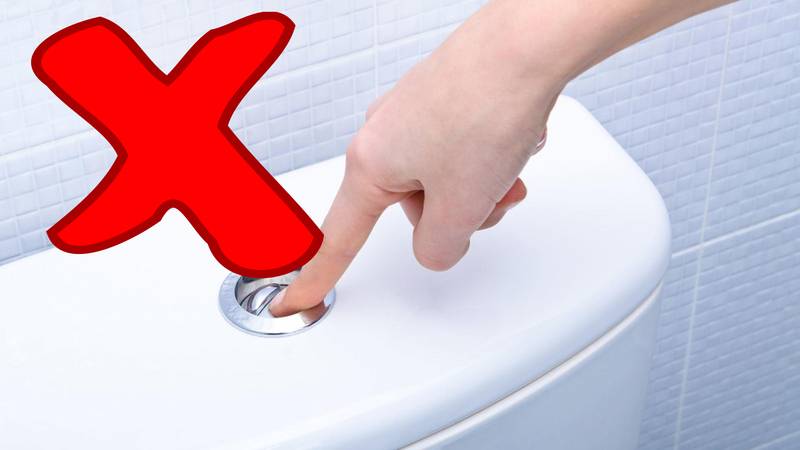 10 ошибок, которые вы совершаете в туалете ежедневно
