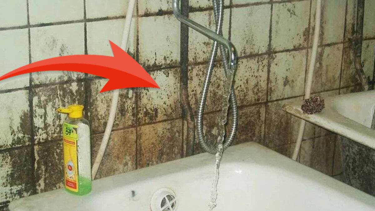 10+ способов: как избавиться от плесени в ванной в домашних условиях