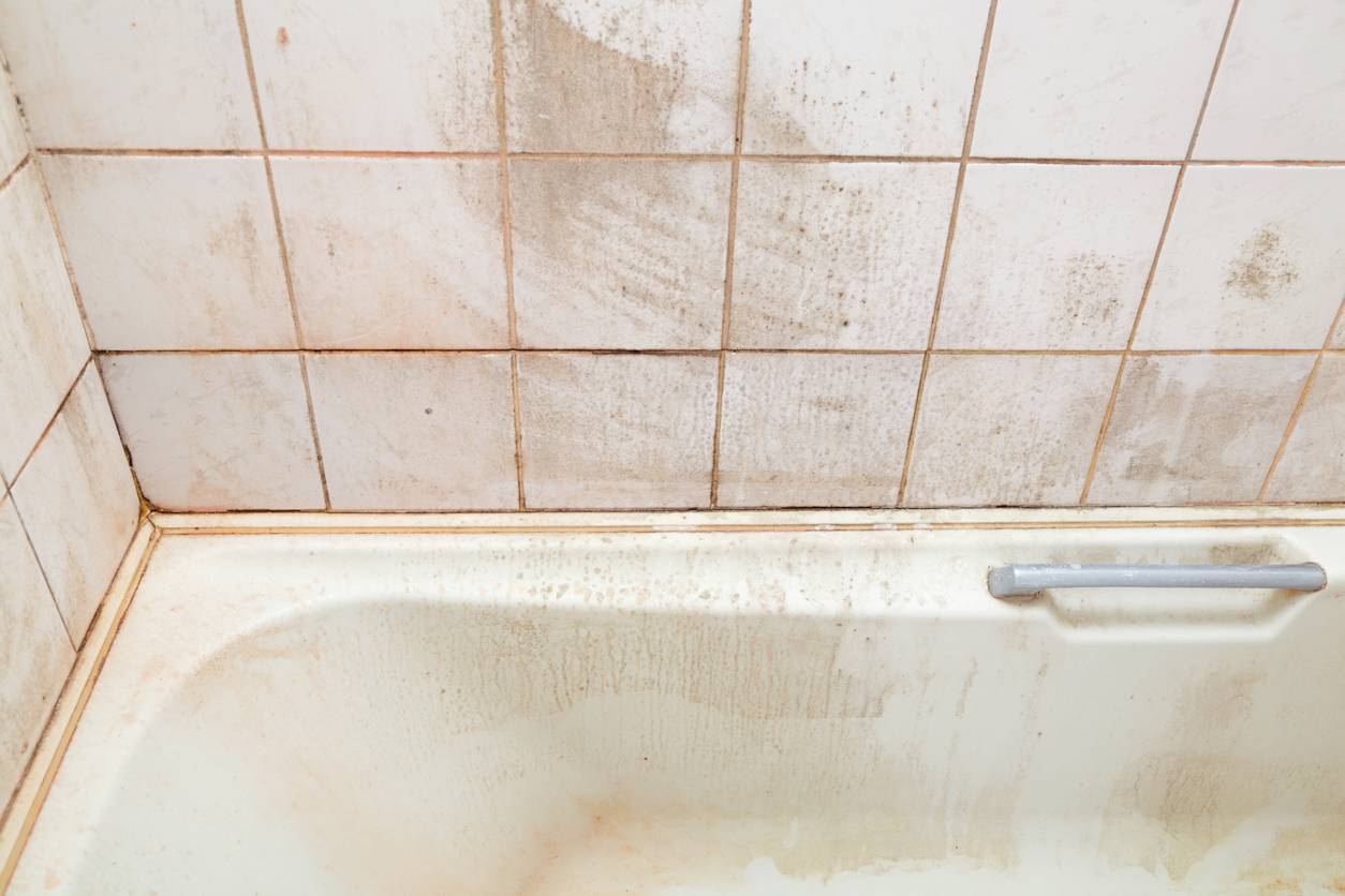 Грибок и черная плесень в ванной: как избавиться?