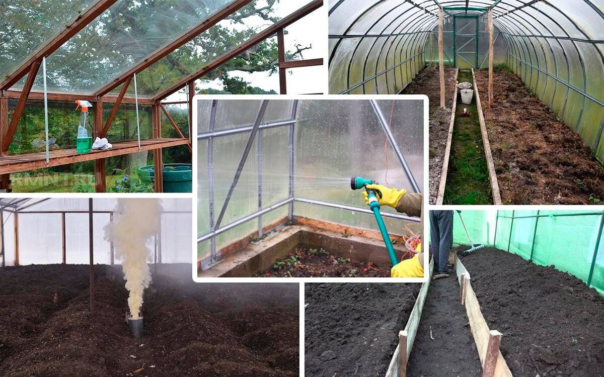 Почва для огурцов: подробная технология подготовки грунта с гарантией высокой урожайности