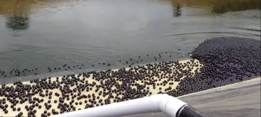 96 000 000 чёрных шариков в водохранилище Лос-Анджелеса: зачем они там?
