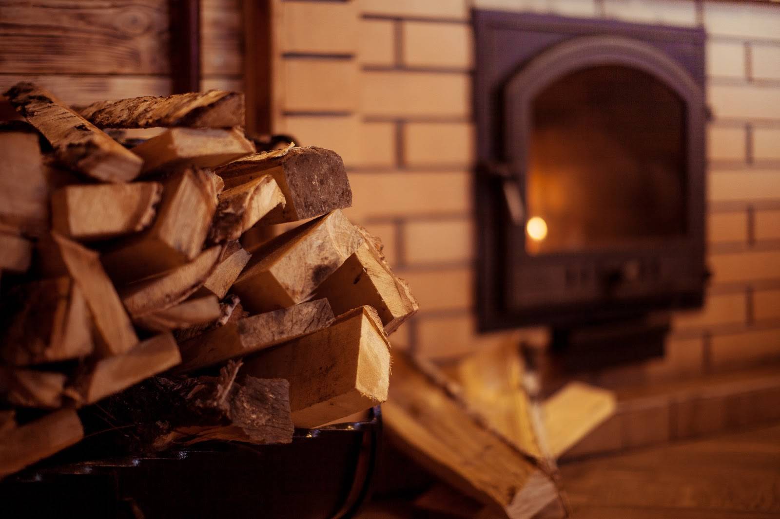 Какими дровами лучше топить печь – советы по выбору и хранению