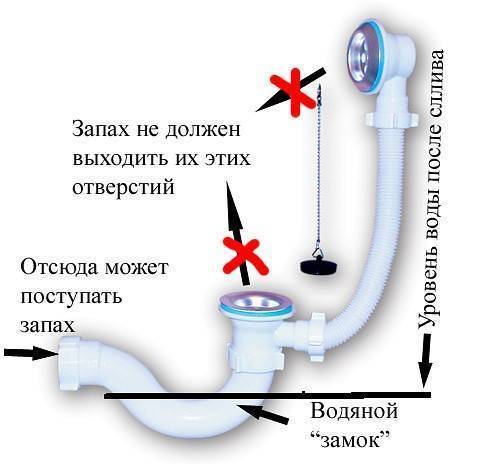 Запах канализации в туалете: обзор возможных причин его возникновения и способов устранения ⋆ строю дом