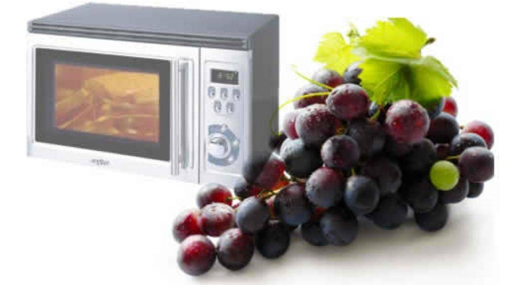Физики объяснили вспышки винограда в микроволновой печи