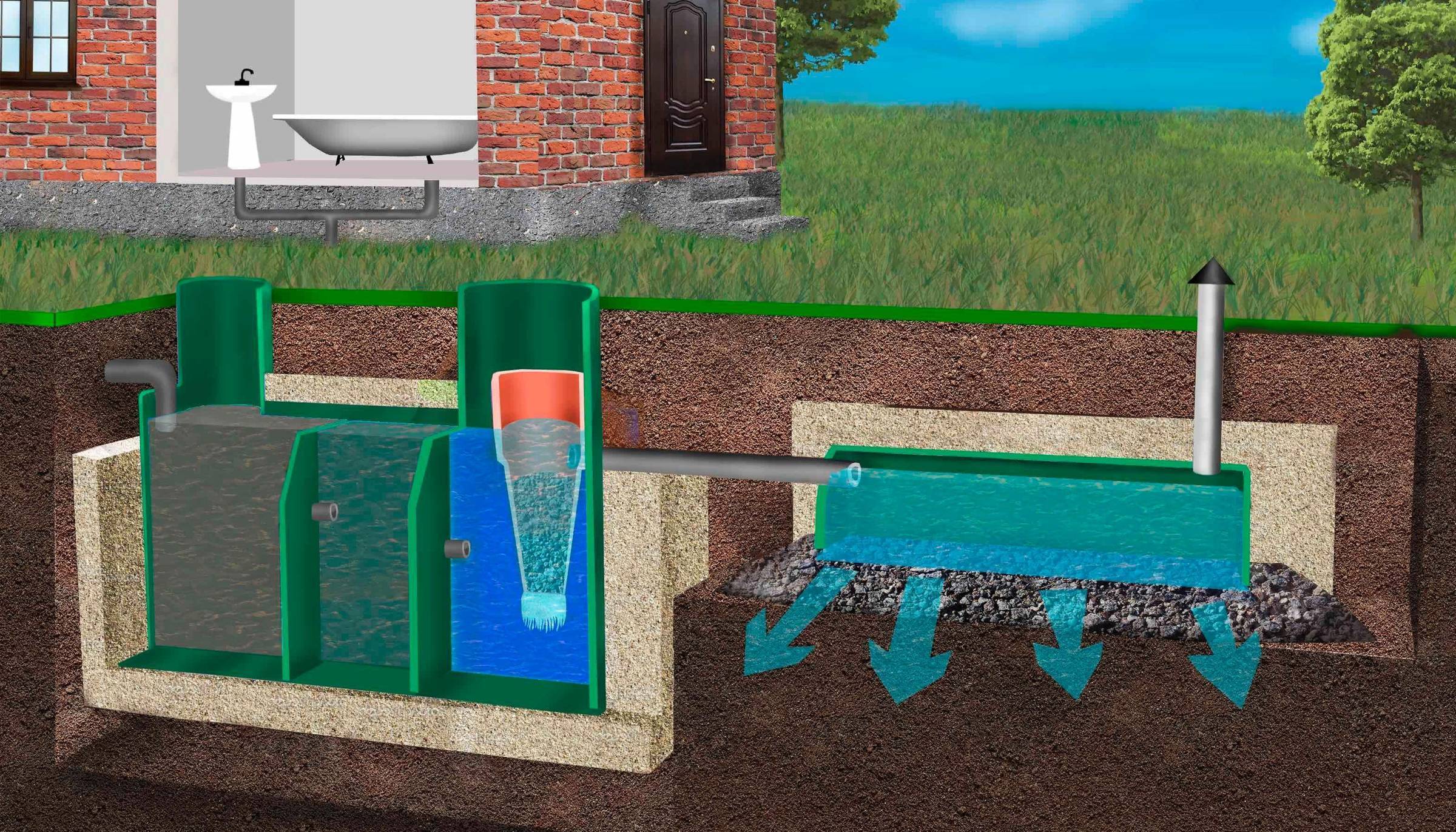 Эйхорния для очистки воды. использований водного гиацинта для очистки сточных вод