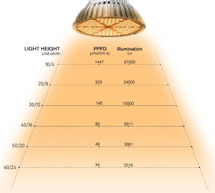 Как рассчитать количество точечных светильников для комнаты