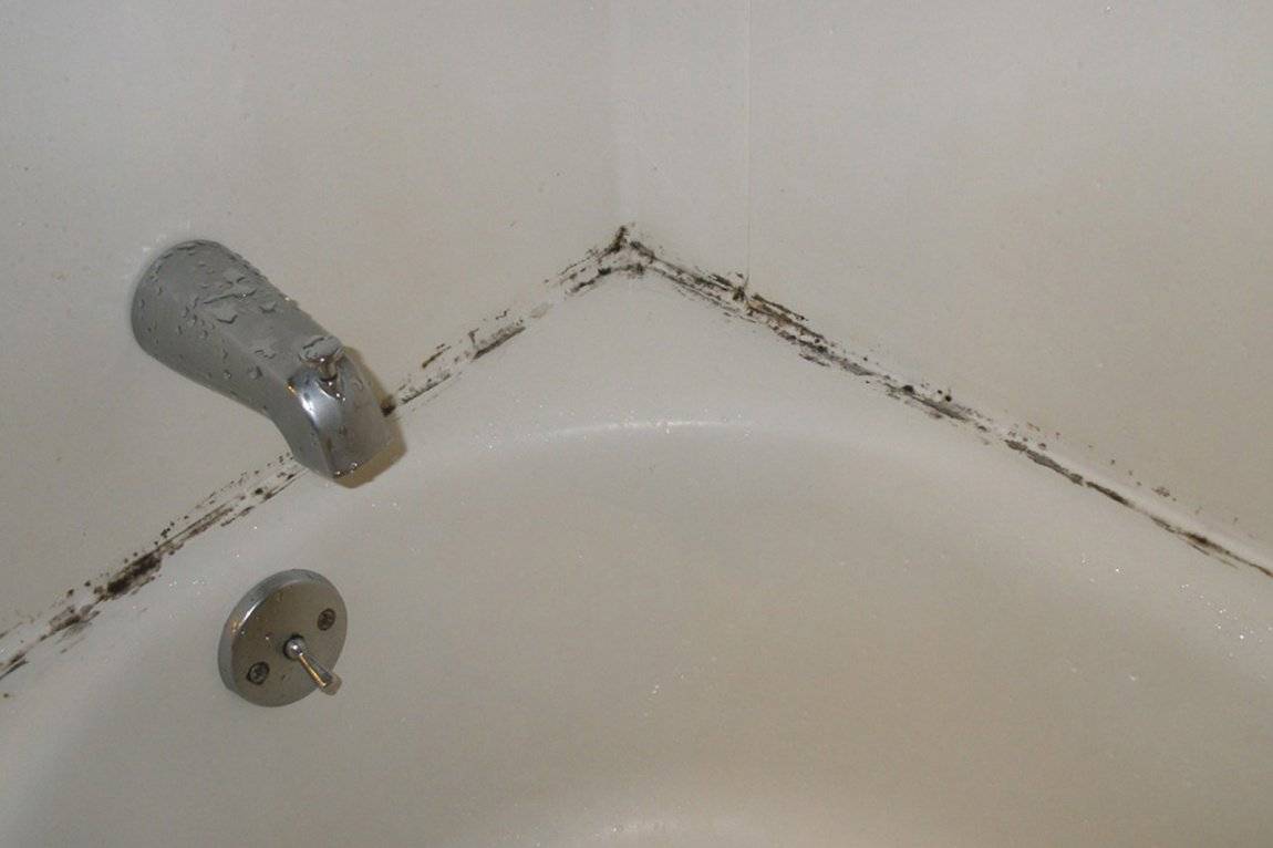Плесень и грибок в ванной: причины возникновения, как и какими методами избавляться от этой проблемы