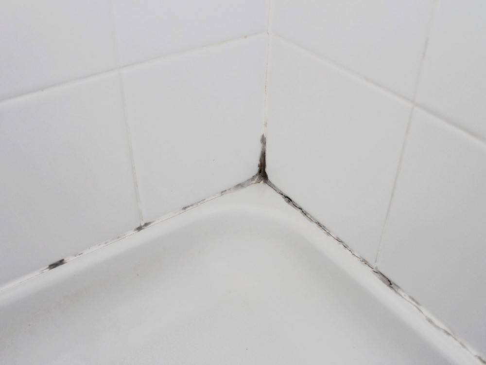 Эффективные способы борьбы с плесенью (грибком) в ванной комнате