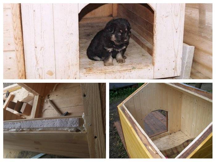 Подготовка собачьего домика к холодам – dogcollar