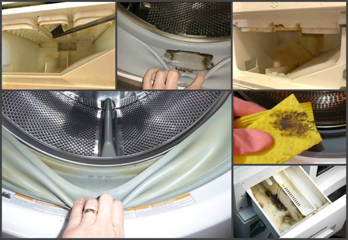 Запах из стиральной машинки - как убрать вонь из барабана: места размножения и причины появления бактерий в стиралке