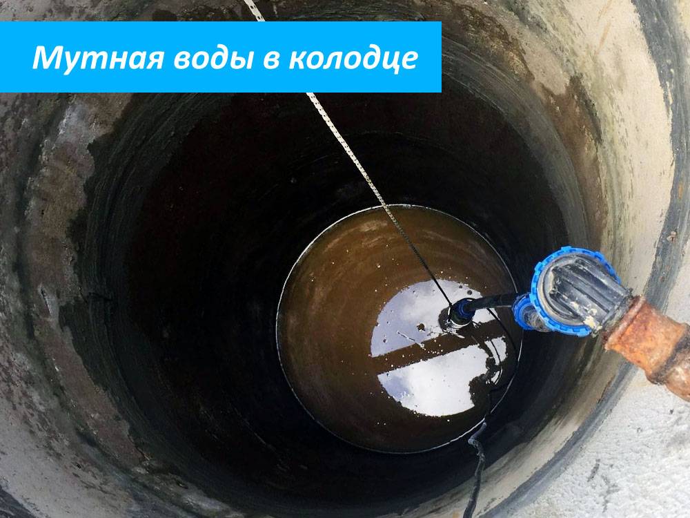 Мутнеет вода в аквариуме: почему возникает мутная вода, что делать, как бороться (избавиться), причины, методы