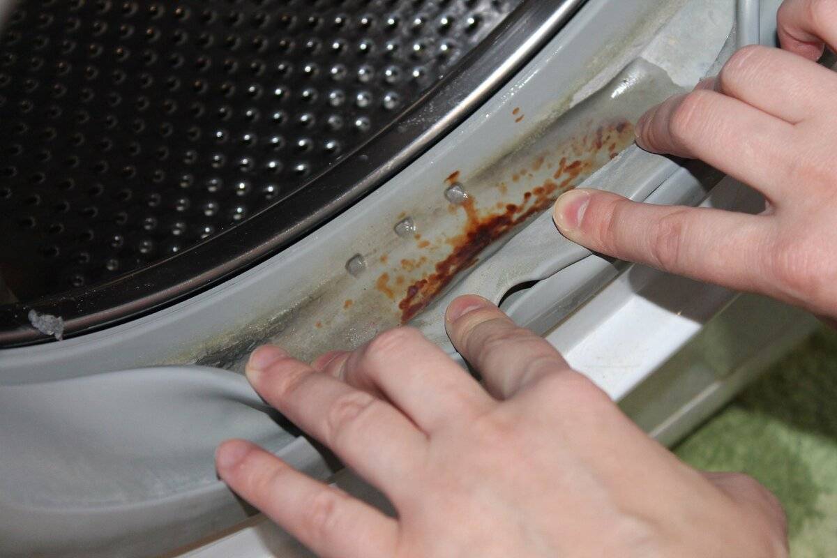 Плесень в стиральной машине: как избавиться подручными средствами