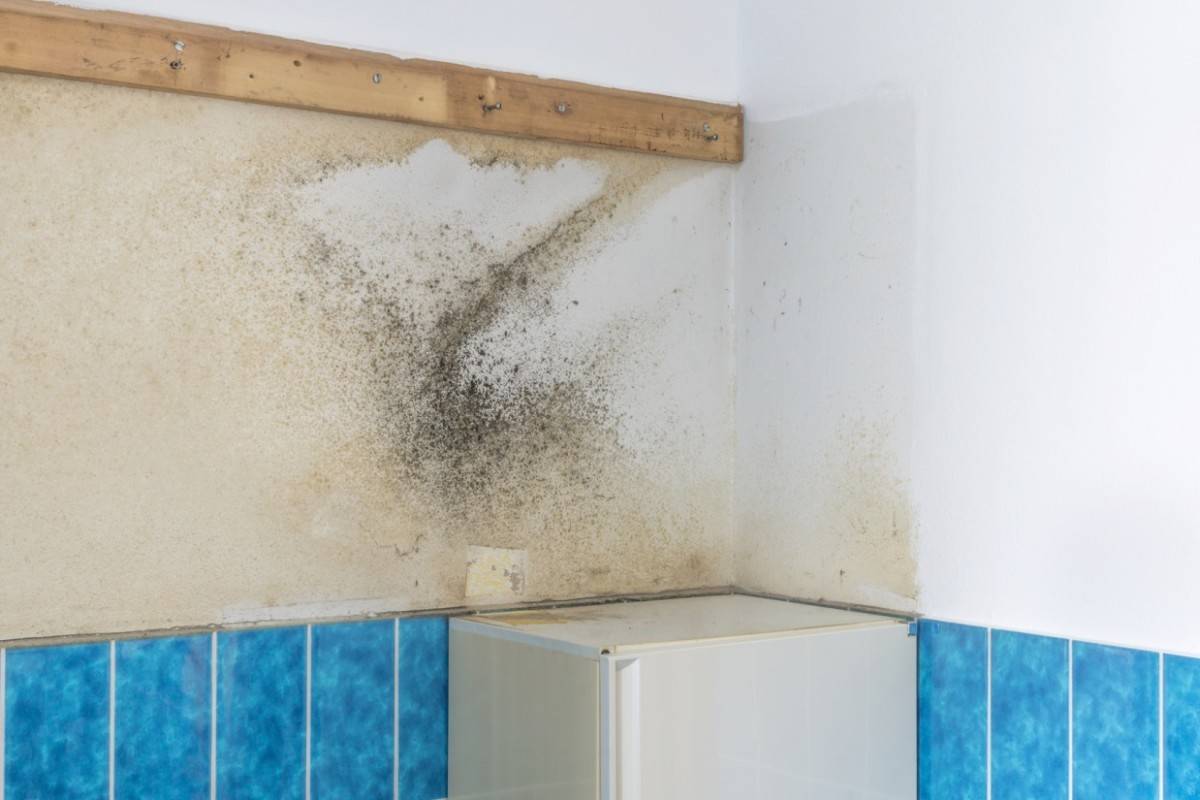 Как избавится от плесени в ванной? - народными средствами на потолке и стенах