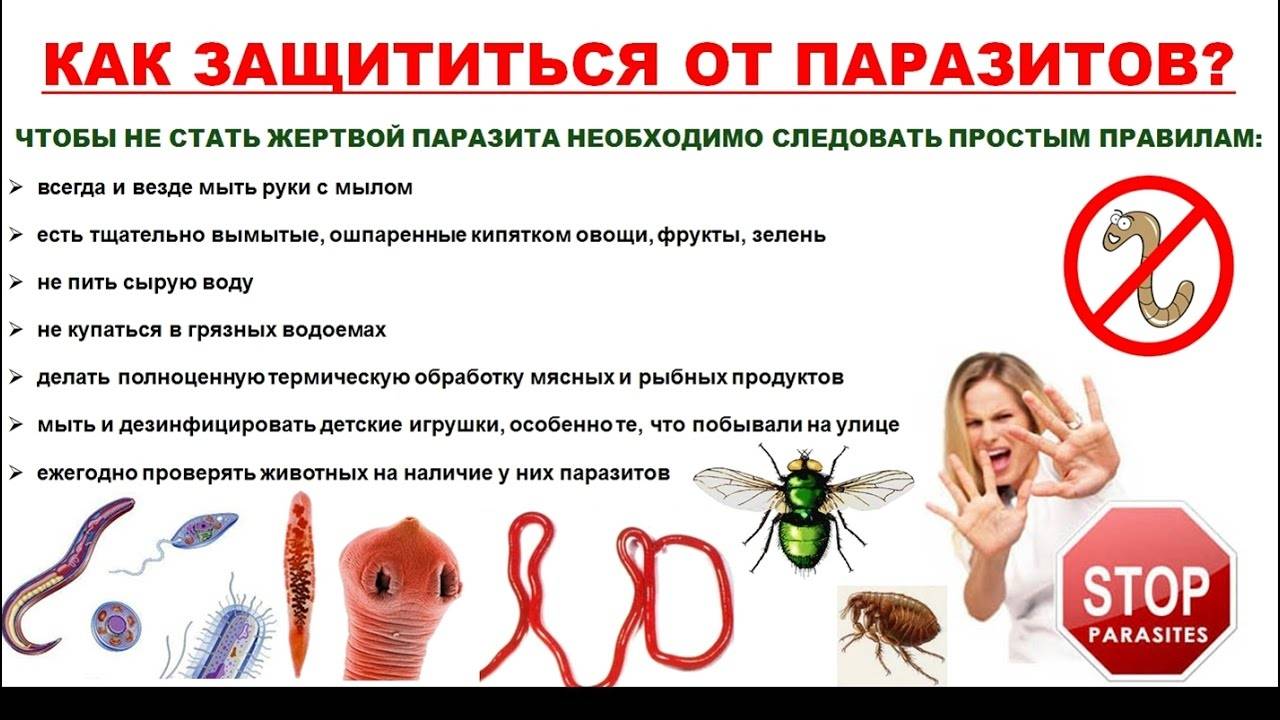 Как понять, что у тебя венерологическое заболевание | университетская клиника