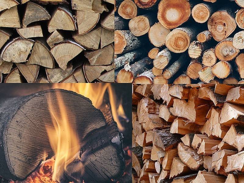 Какие дрова лучше выбрать для отопления