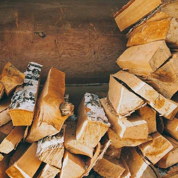 Какими дровами лучше топить печь? обзор всех пород древесины