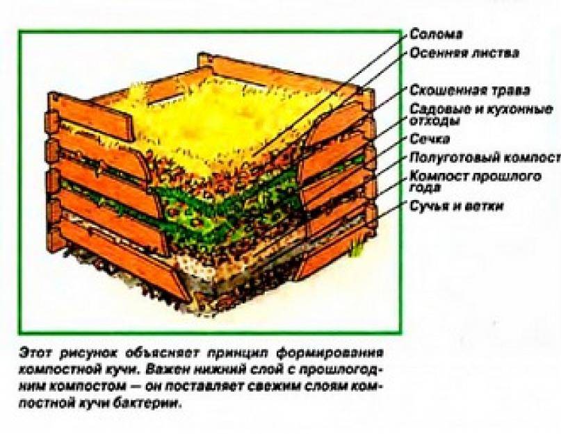 Ящик для компоста своими руками: из чего и как можно сделать
