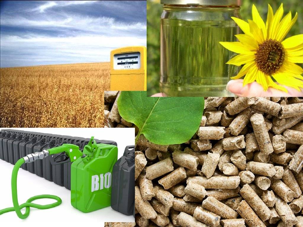 Производим биотопливо для камина самостоятельно