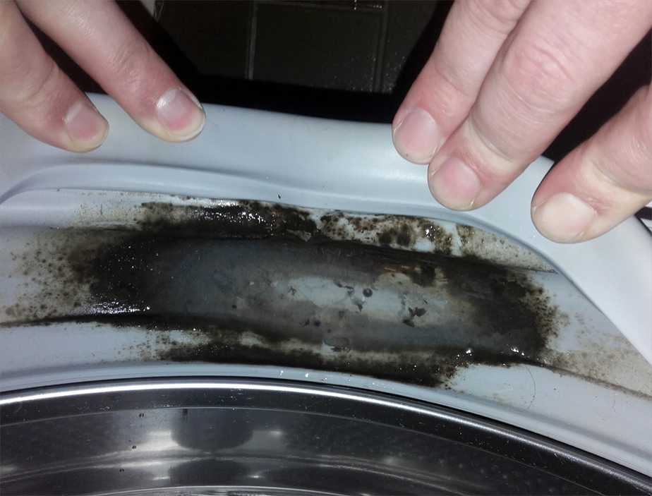 Как очистить стиральную машину от плесени (избавиться, почистить)?