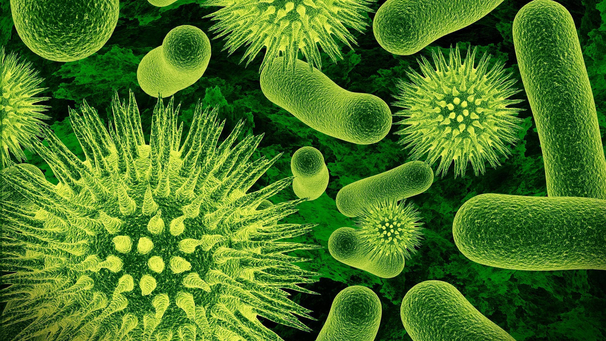Бактерии для септиков частного дома: аэробные и анаэробные - обзор