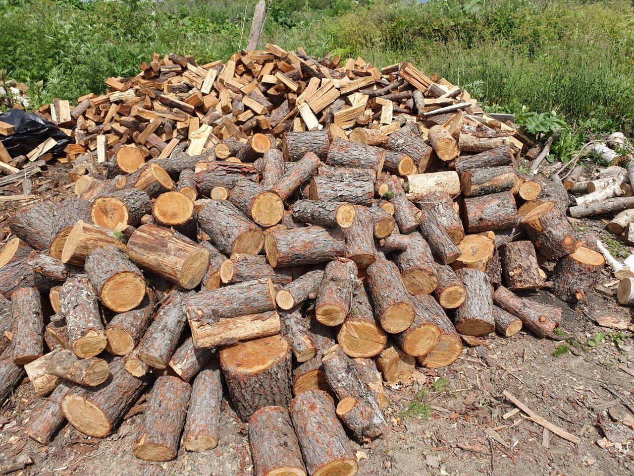 Какие дрова самые жаркие – методика правильного подбора дров в разных целях