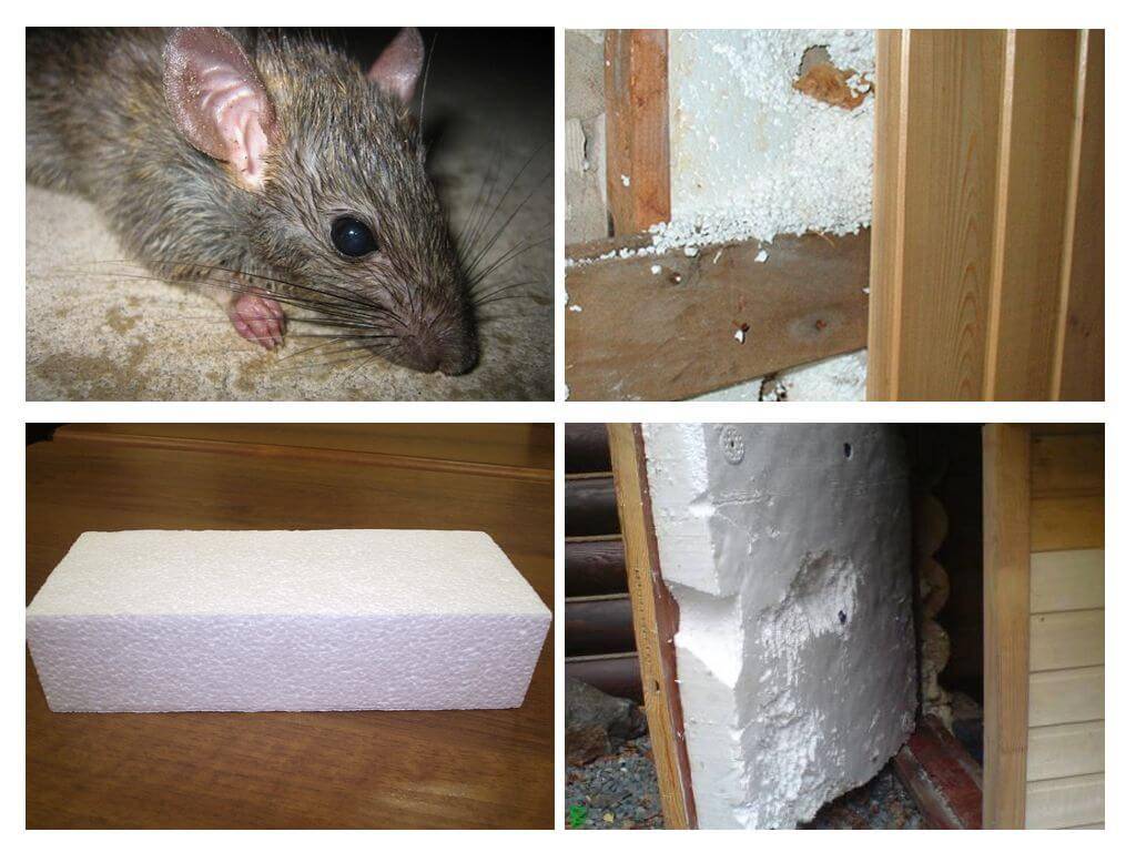 Какой утеплитель не грызут мыши и крысы: виды материалов и их свойства, пенобетон и стекловата, пеноизол